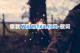 你就不要想起我歌词-歌词