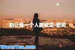 别让我一个人醉歌词-歌词