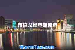 布拉戈维申斯克市