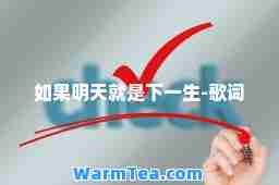 如果明天就是下一生-歌词