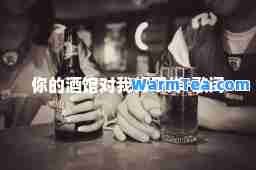 你的酒馆对我打了烊-歌词