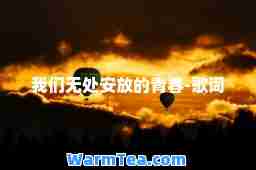 我们无处安放的青春-歌词