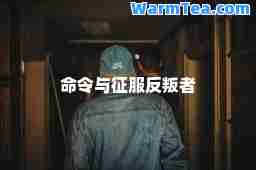 令与征服反叛者