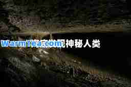 海底发现秘人类