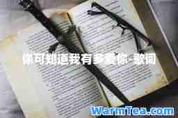 你可知道我有多爱你-歌词