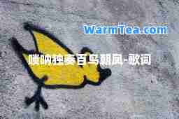 唢呐独奏百鸟朝凤-歌词