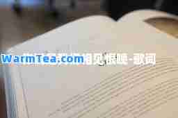 你说是我们相见恨晚-歌词