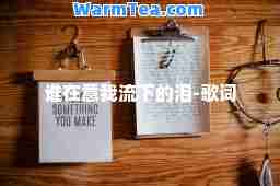 谁在意我流下的泪-歌词