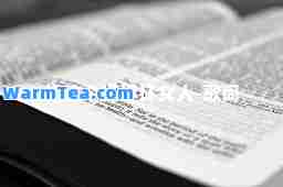 你这个坏坏坏女人-歌词