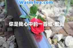 你是我心中的一首歌-歌词