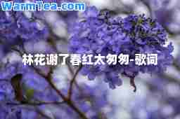 林花谢了春红太匆匆-歌词