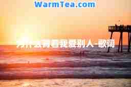 为什么背着我爱别人-歌词