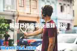 我可以抱你吗张惠妹-歌词