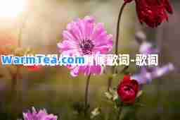 当我想你的时候歌词-歌词