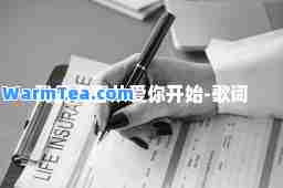 我的青春从爱你开始-歌词