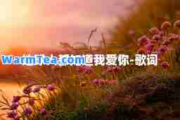 地球人都知道我爱你-歌词