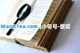 疯狂拨动我的小句号-歌词