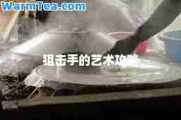 狙击手的艺术攻略