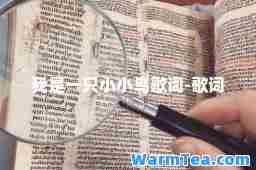 我是一只小小鸟歌词-歌词