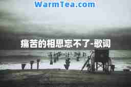 痛苦的相思忘不了-歌词