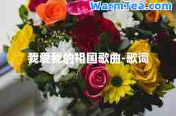 我爱我的祖国歌曲-歌词