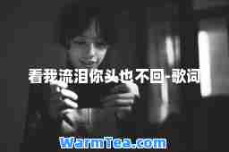 看我流泪你头也不回-歌词