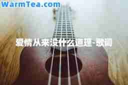 爱情从来没什么道理-歌词