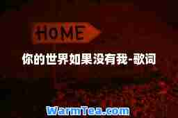 你的世界如果没有我-歌词