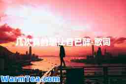 几次真的想让自己醉-歌词
