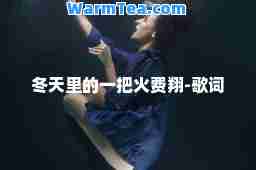 冬天里的一把火费翔-歌词
