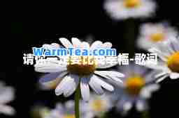 请你一定要比我幸福-歌词