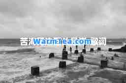 苦海无边回头是岸-歌词