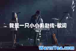 我是一只小小鸟赵传-歌词