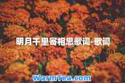 明月千里寄相思歌词-歌词
