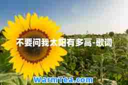 不要问我太阳有多高-歌词