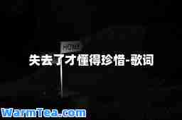失去了才懂得珍惜-歌词
