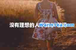 没有理想的人不伤心-歌词