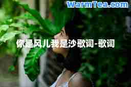 你是风儿我是沙歌词-歌词
