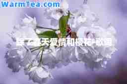 除了春天爱情和樱花-歌词