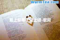 爱上你等于爱上错-歌词