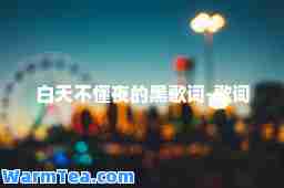 白天不懂夜的黑歌词-歌词