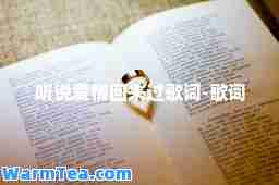 听说爱情回来过歌词-歌词