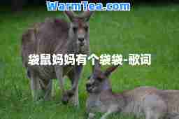 袋鼠妈妈有个袋袋-歌词