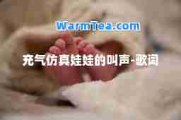 充气仿真娃娃的叫声-歌词