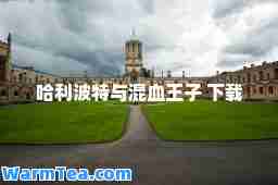 哈利波特与混血王子 下载