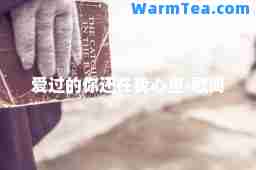 爱过的你还在我心里-歌词