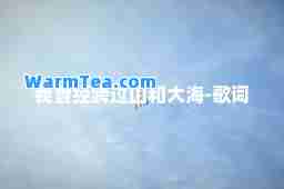 我曾经跨过山和大海-歌词
