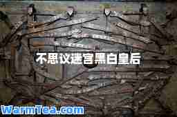 不思议迷宫黑白皇后