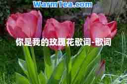 你是我的玫瑰花歌词-歌词