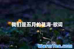 我们是五月的花海-歌词